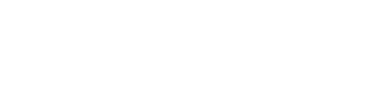 Hanyler Logo